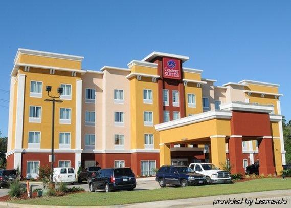 Comfort Suites Near Tanger Outlet Mall Ґонзалес Екстер'єр фото